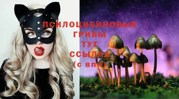 ECSTASY Няндома