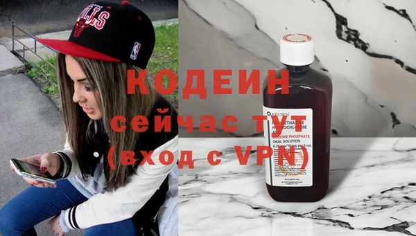 ECSTASY Няндома