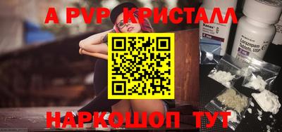 гашик Новозыбков