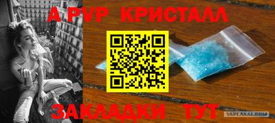 стафф Кимры