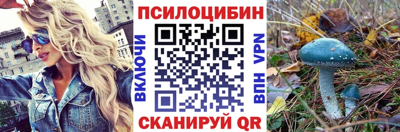 Галлюциногенные грибы Psilocybe  KRAKEN вход  Кубинка  наркота 