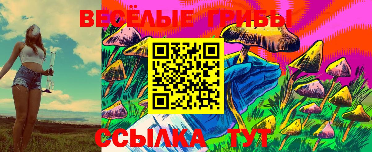 Галлюциногенные грибы Psilocybine cubensis  Вход с VPN  Кубинка 